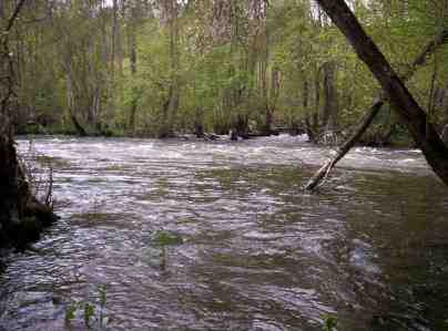 River Miño as it exits Quinte, county O Corgo in Lugo (Spain)